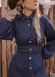 The Josephine Denim Dress