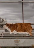 Cowhide Rug 241096