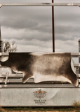 Cowhide Rug 241980