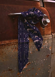 The Starlight Rodeo Twilly
