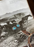 turquoise_silver_stone_natural_chunky_studs_earrings_western_jewellery_jewelry_mack_and_co_designs_australia
